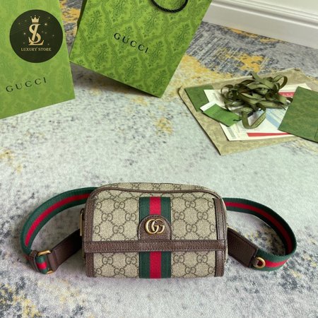 Gucci Ophidia GG Mini Bag