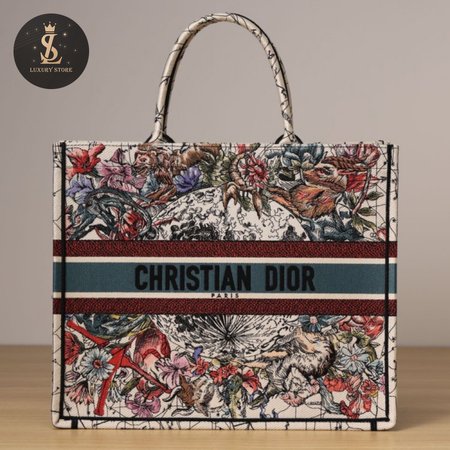 Dior Book Tote Bag