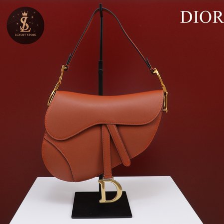 Dior Saddle M0446