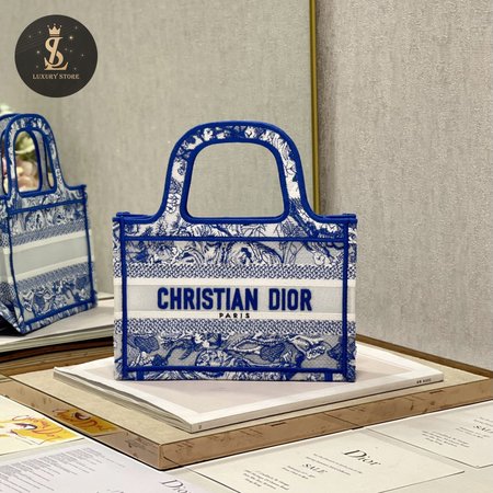 Dior Book Tote Mini M1286